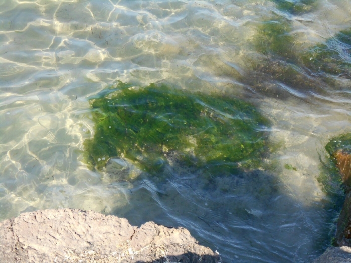 Черное море