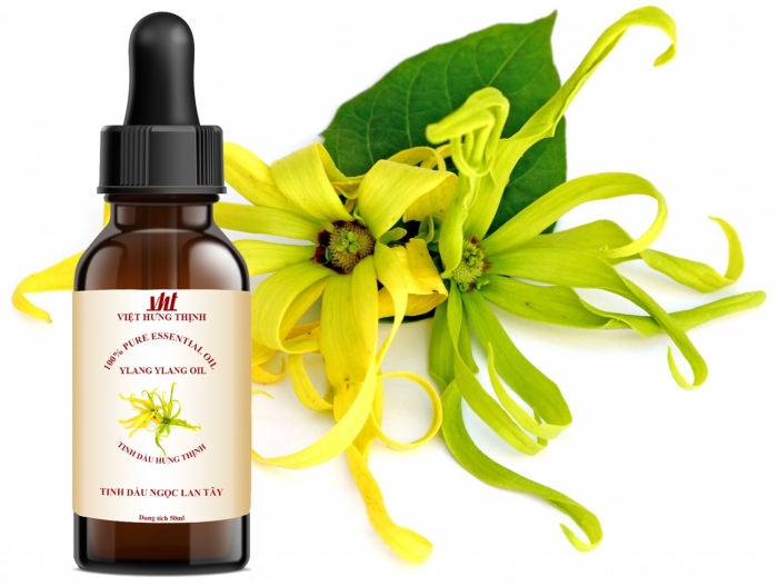 Иланг эфирное масло