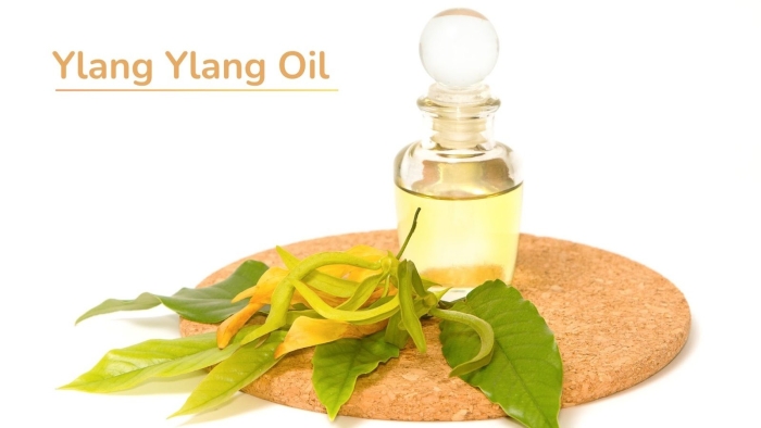 Масло иланг