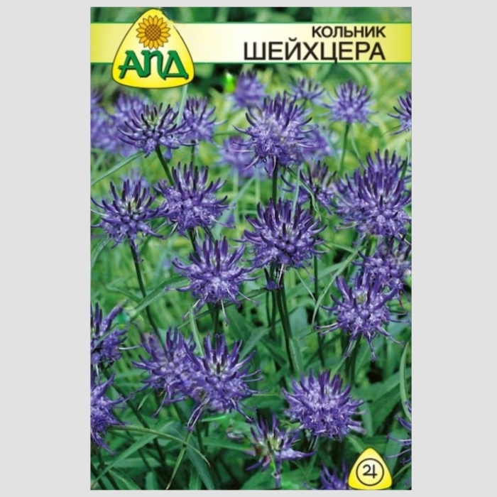 Кольник шейхцера