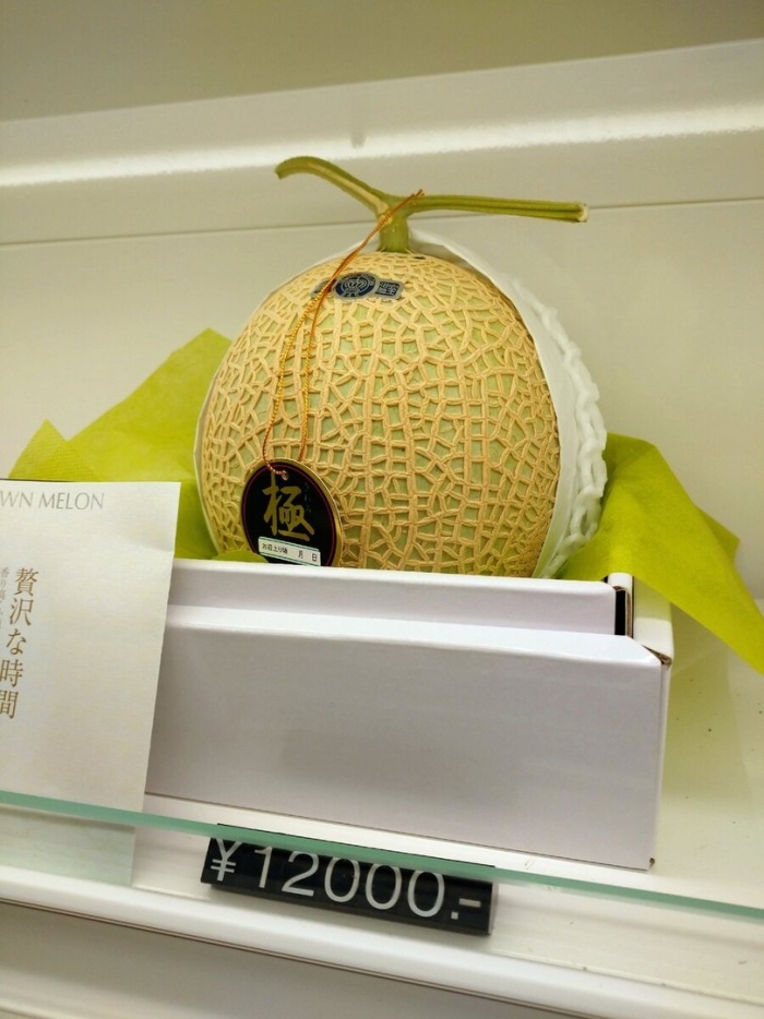 Японская дыня юбари