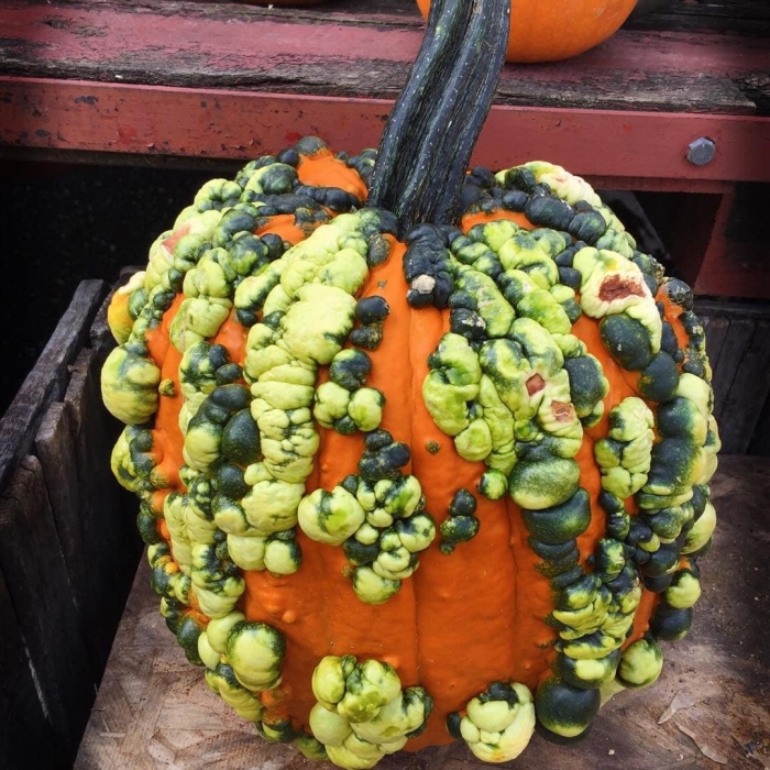 Необычные овощи