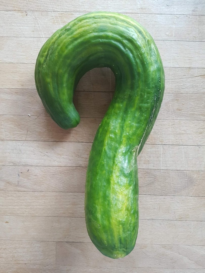 Необычные огурцы