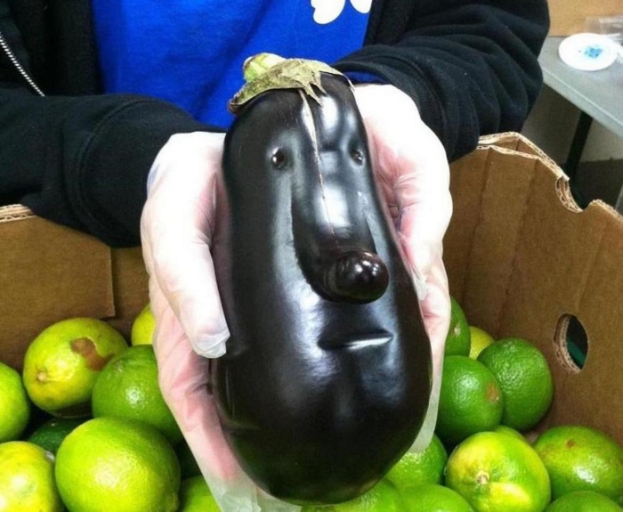 Смешной баклажан