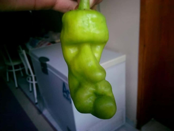 Овощи похожие на член