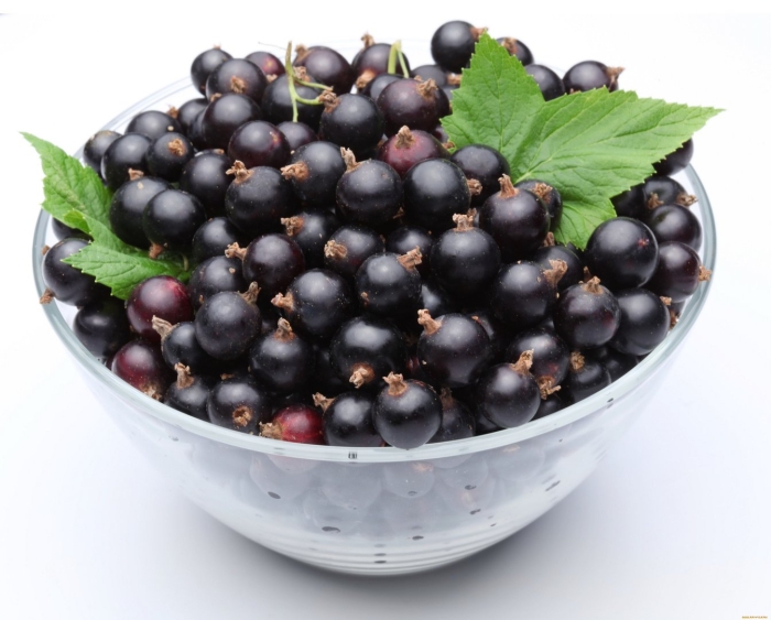 Black currant черная смородина