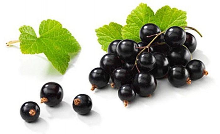 Смородина 1 ягода