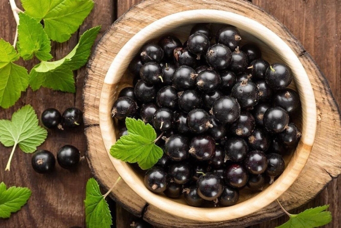 Черная смородина варенье