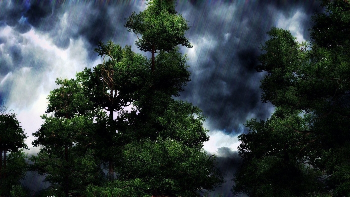 Природа с грозой