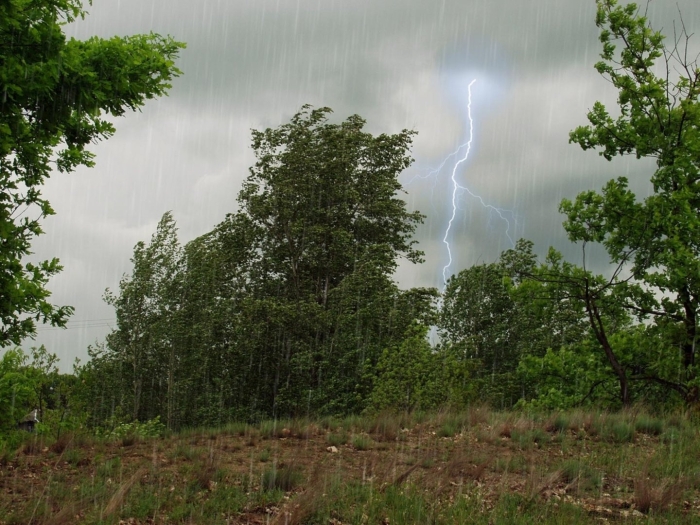 Rain and thunderstorm