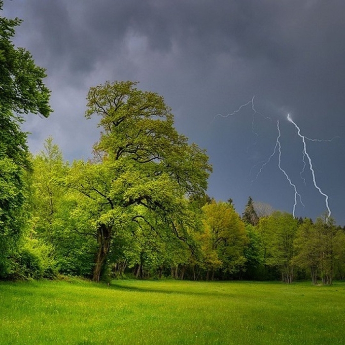 Летние грозы