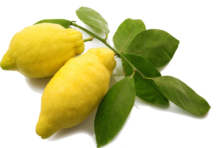 Цитрон этрог