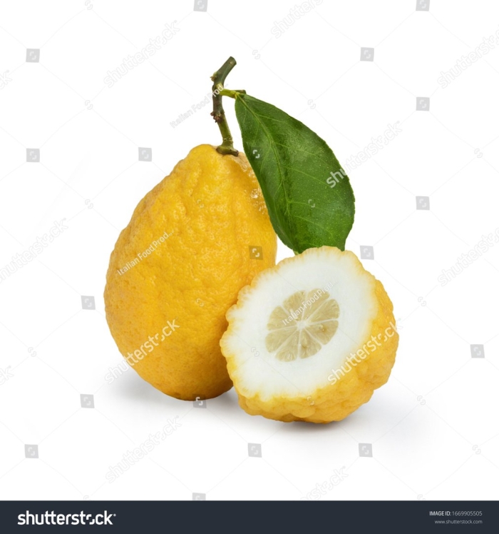 Цитрон цитрус