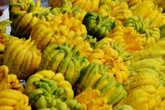 Цитрон пальчатый