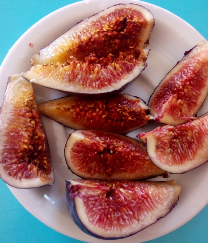 Кипрский инжир