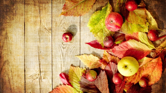 Осенние яблоки