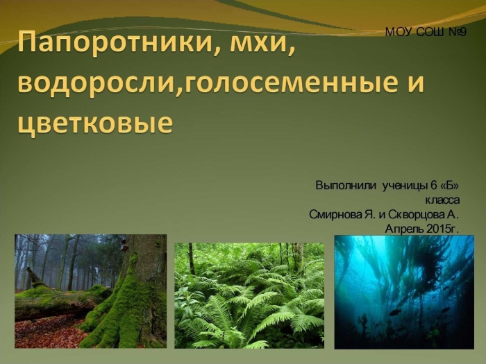 Папоротники мхи и водоросли 2 класс
