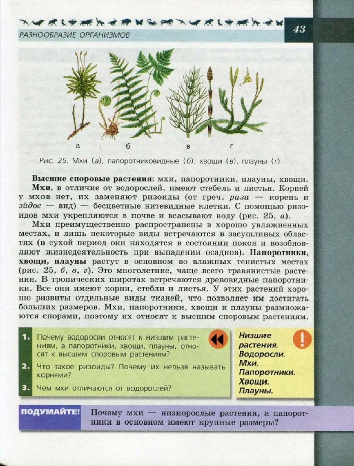Высшие споровые растения 7 класс биология