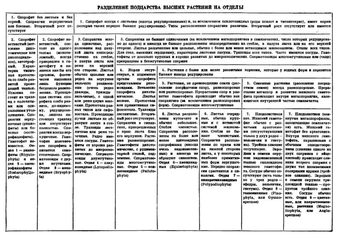 Высшие споровые растения таблица