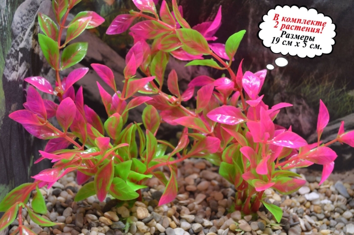 Растение для аквариума искусственное