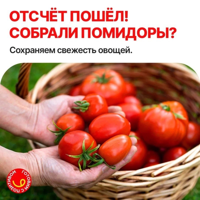 Помидоры в корзинке