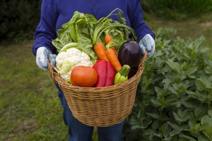 Сельское хозяйство овощи