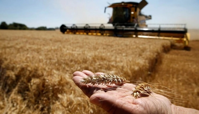 Сельского хозяйства