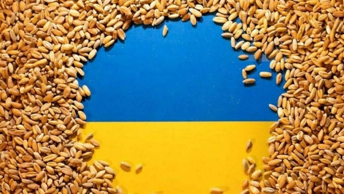 Украинское зерно