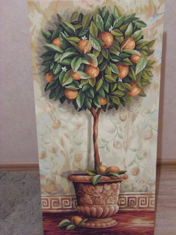 Шиппер апельсиновое дерево