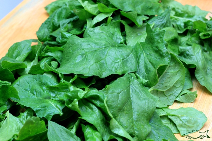 Лист шпината