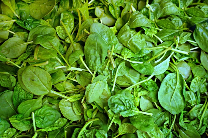 Fresh spinach