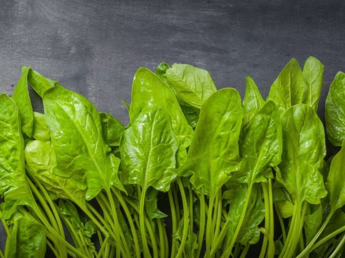 Шпинат остролистный