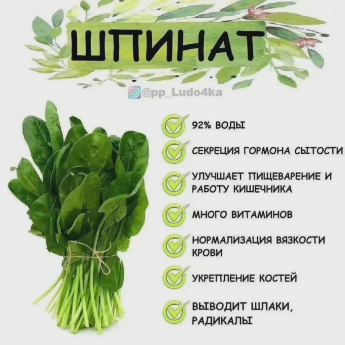 Шпинат и щавель