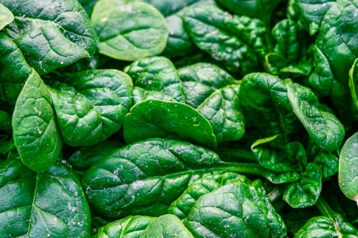 Шпинат листья