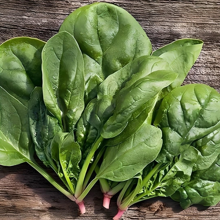 Лист шпината