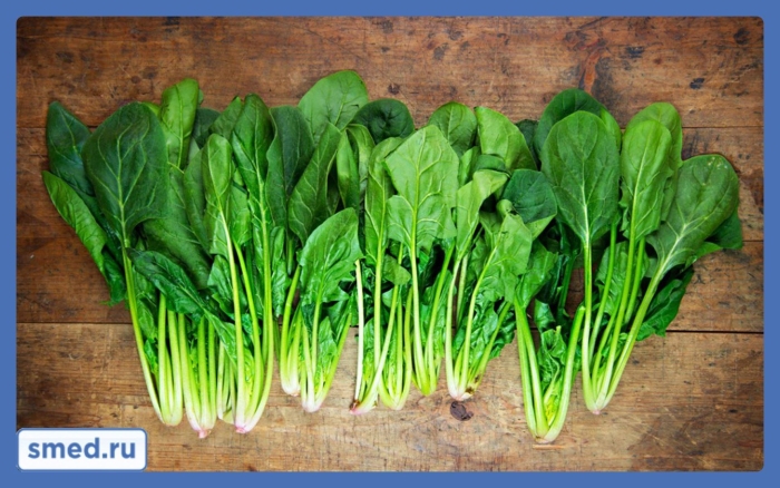 Щавель шпинатный