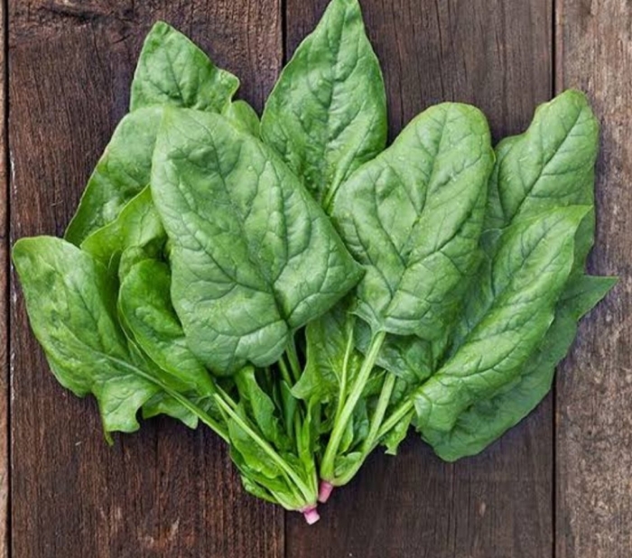 Шпинат гигант