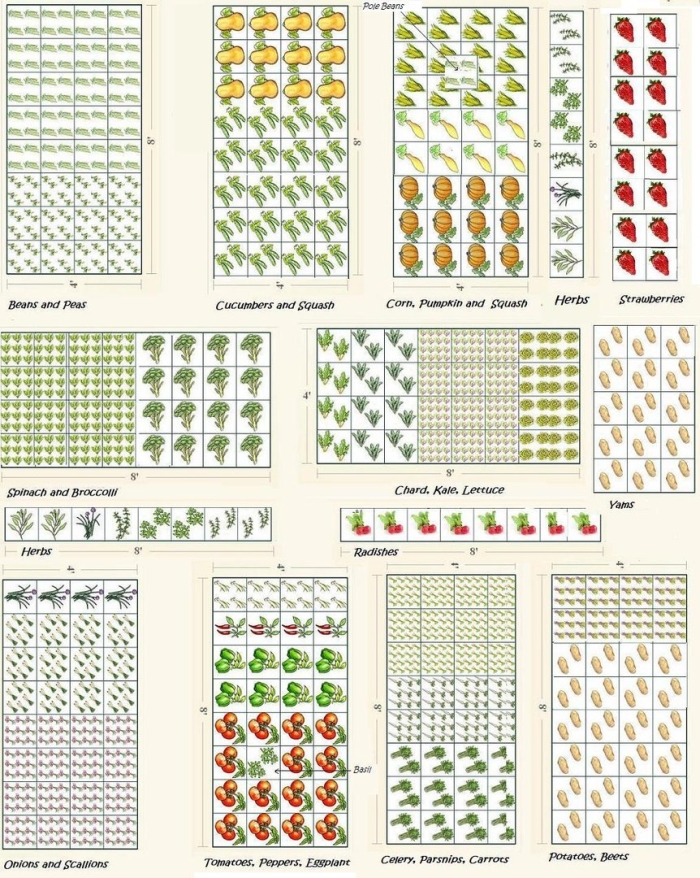 Vegetable garden planner
