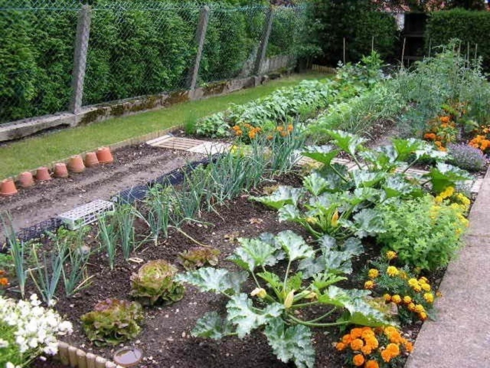 Красивая грядка