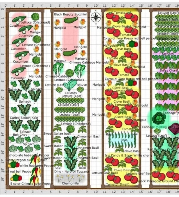 Схема грядок на огороде