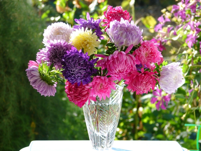 Осенний букет астры георгины