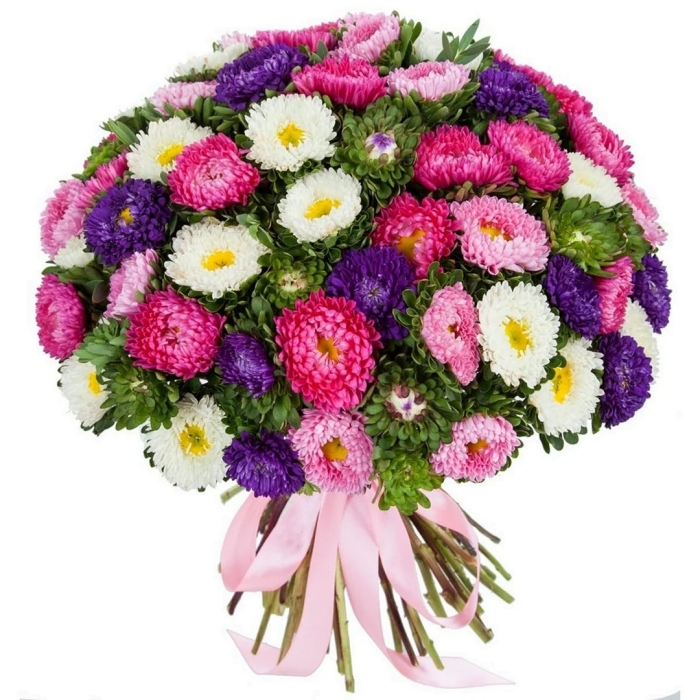 Монобукет астры