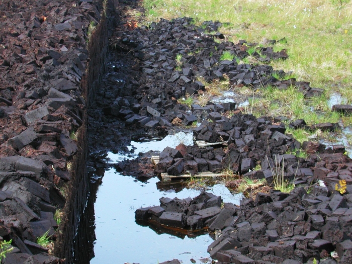 Peat bog