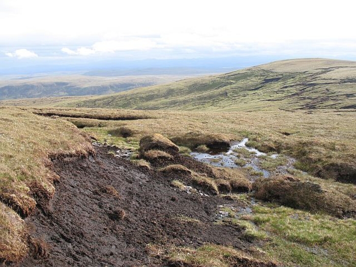 Озерно-болотные отложения