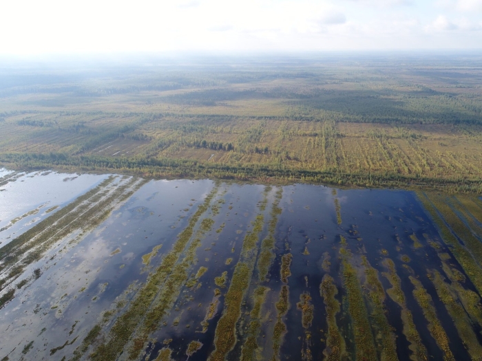 Торфяные болота чувашии