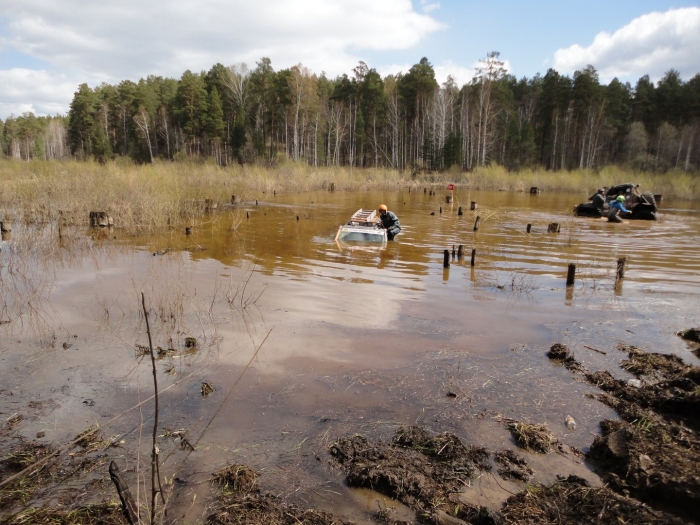 Торфяные болота тейково