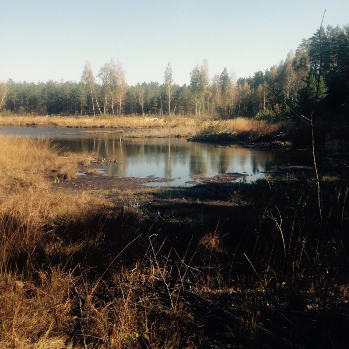 Озеро кирилловское ленинградская область