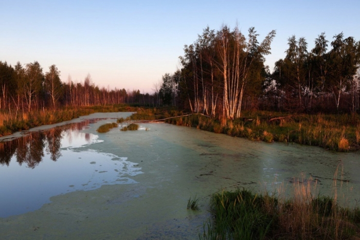 Торфяные болота тейково