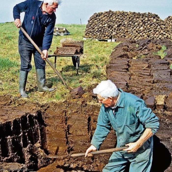 Добыча торфа