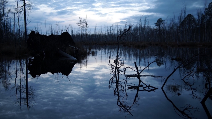 Чёрное болото свердловская область